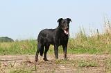 BEAUCERON 030